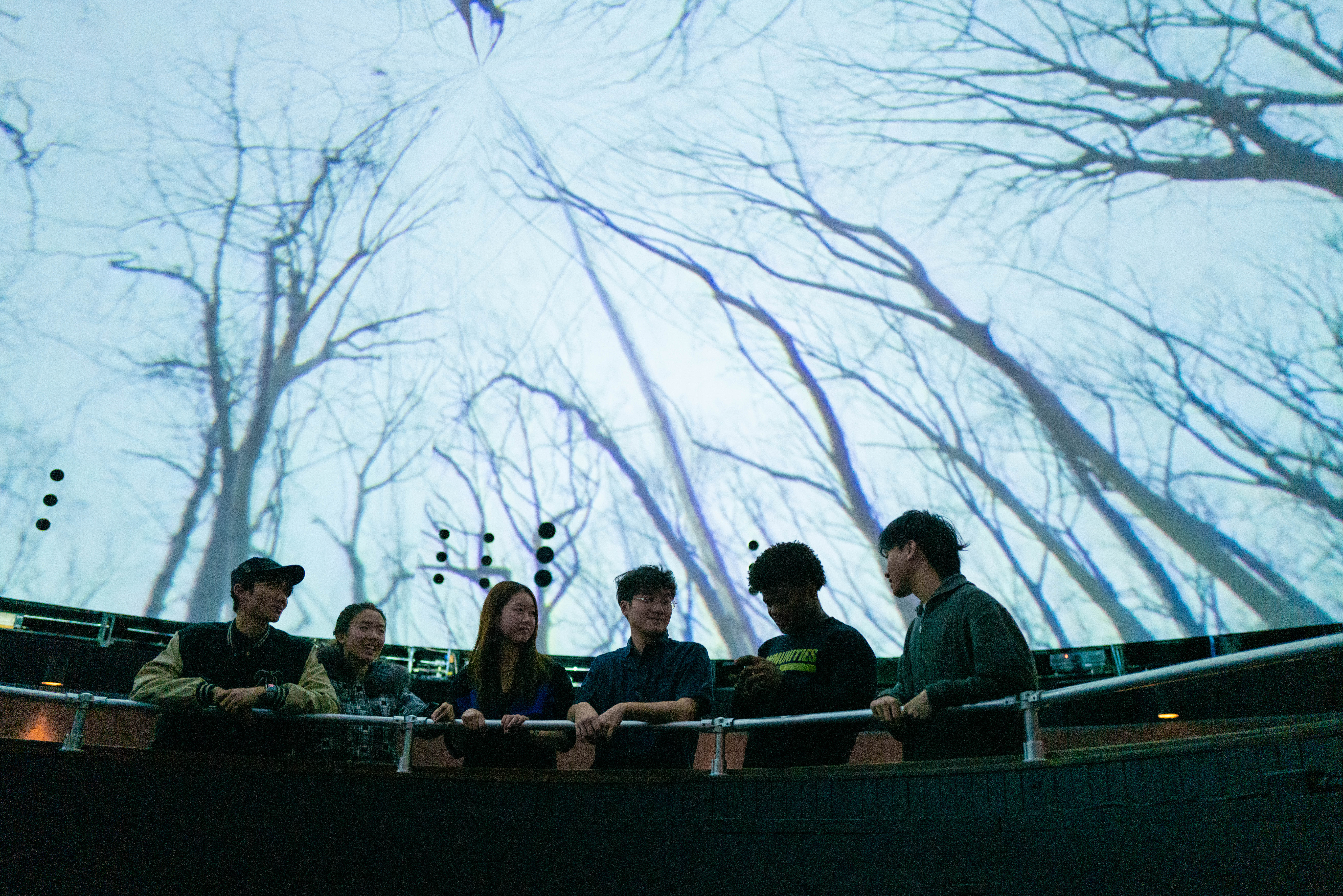 Six people under immersive film screen decpicting trees.