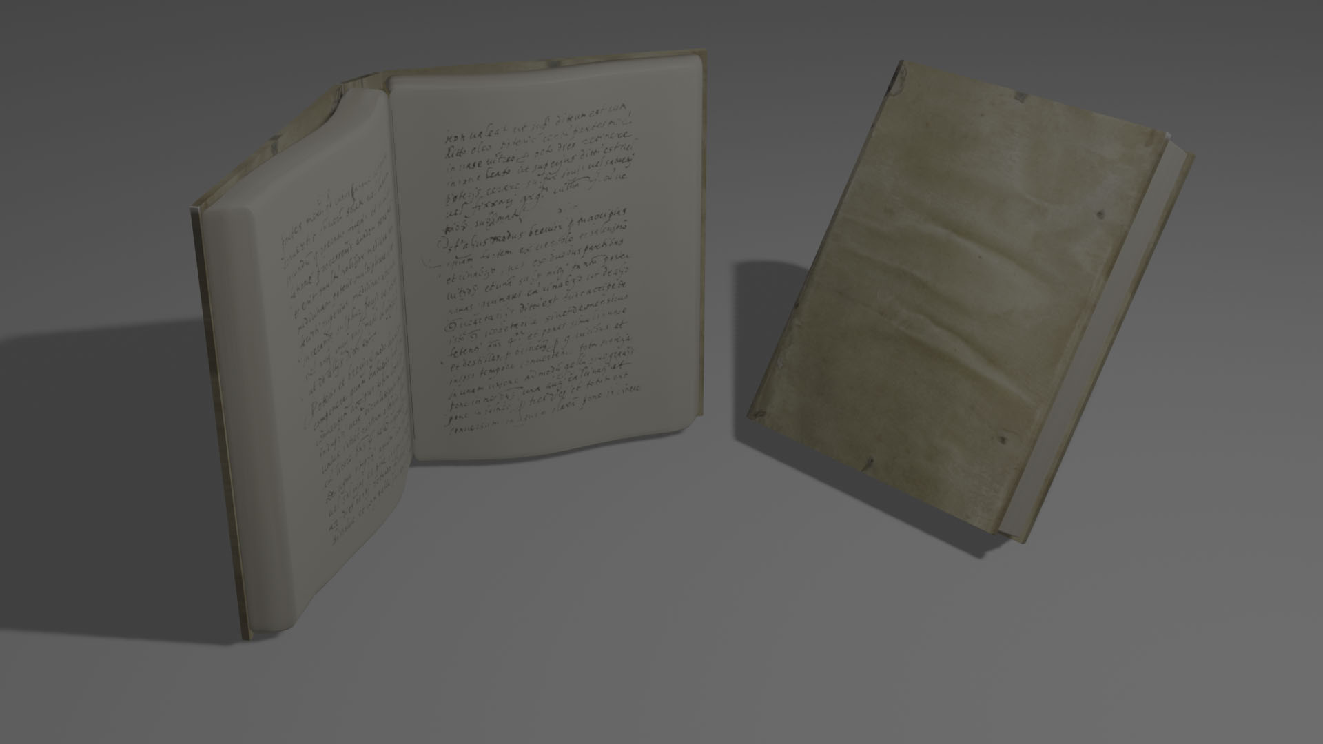 Screenshot from Aurum of 3D models of two aged books.